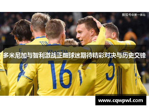 多米尼加与智利激战正酣球迷期待精彩对决与历史交锋